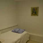 Paasikivi Apartament